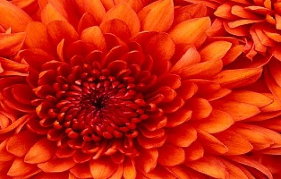 Lone Star State sales boom: Texas hits a real estate milestone rarely seen